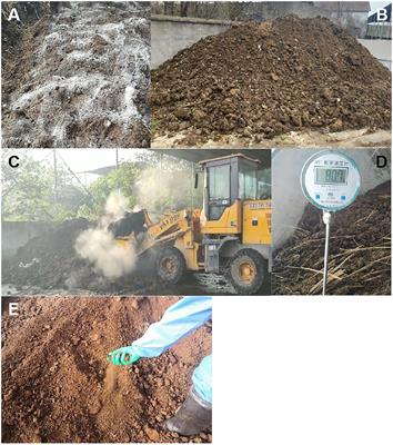 Effects of different microbial agents on bedding treatment of ectopic fermentation of buffalo manure